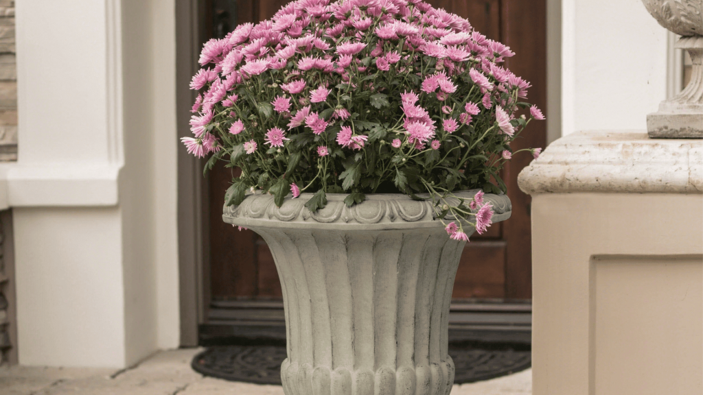 How to Plant Tall Planters