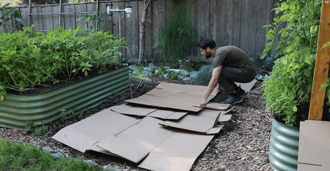 How to Prep Raised Garden Beds for Planting
