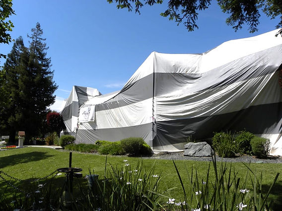 How to Prepare for Tenting for Termites
