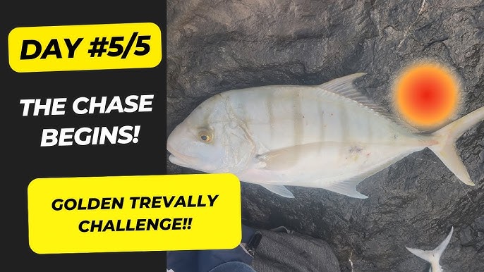 How to Remove Memory from Fishing Line