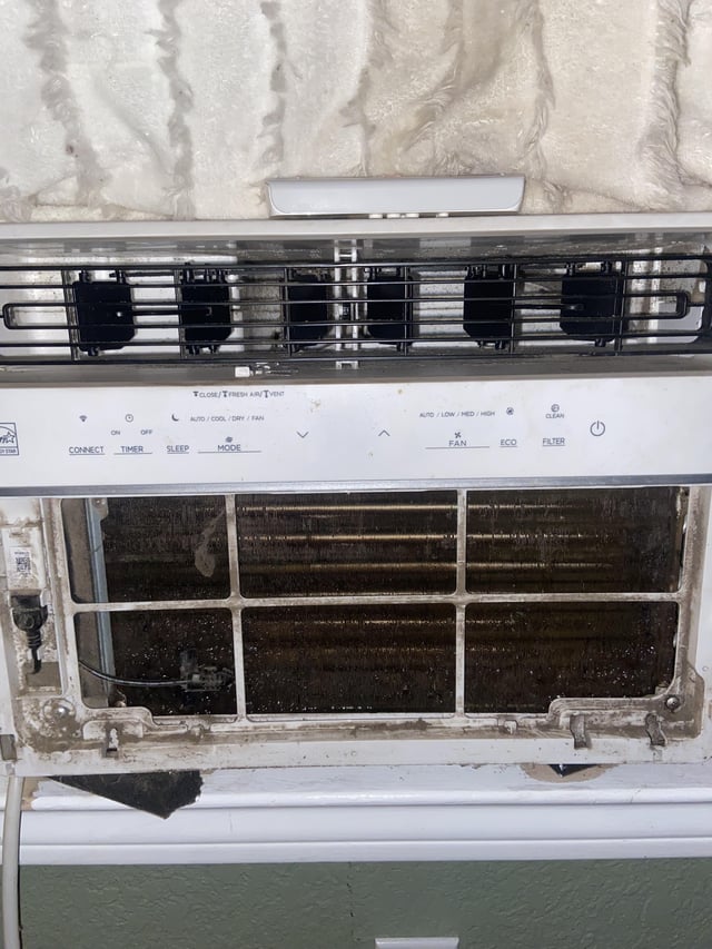 How to Remove Mold from a Window Air Conditioner