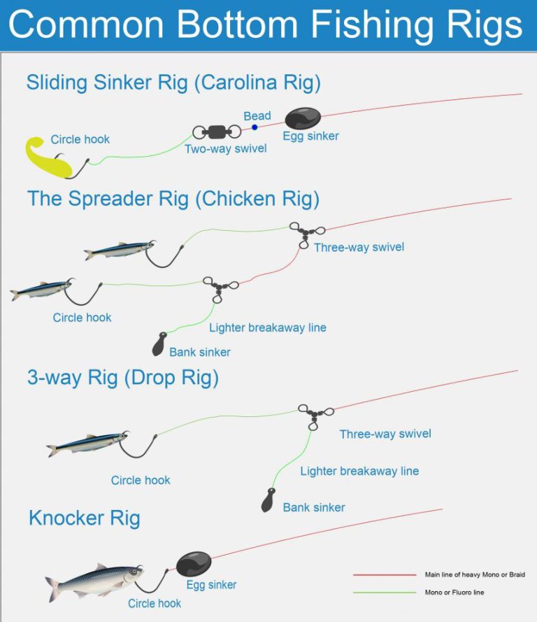 Setting Up Rig Up How to Rig Up a Fishing Rod: Easy Steps for Perfect Setup – buzzlyo