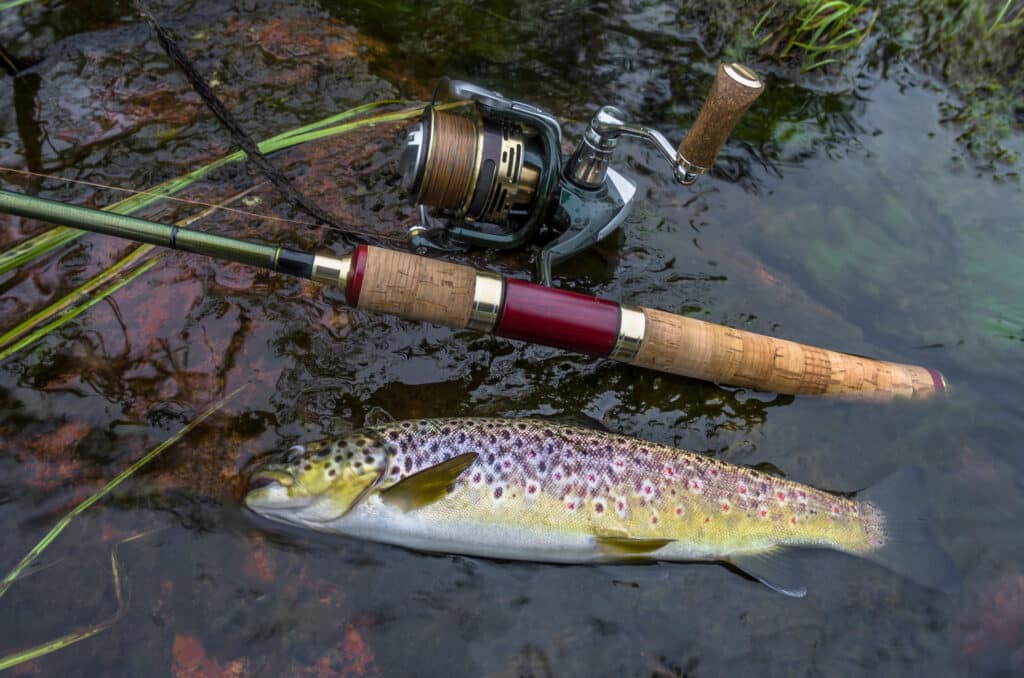 How to Set Up Rod for Trout Fishing