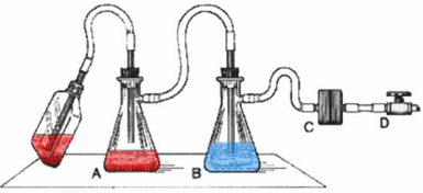 How to Set Up Vacuum Filtration: Easy Steps for Perfect Results – buzzlyo