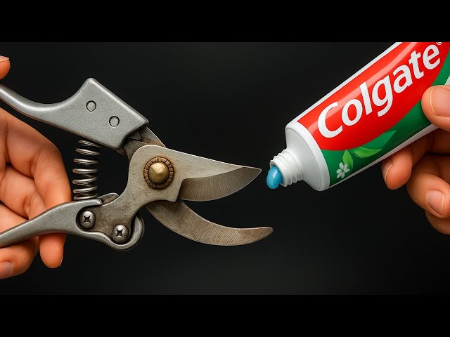 How to Sharpen Gardening Shears