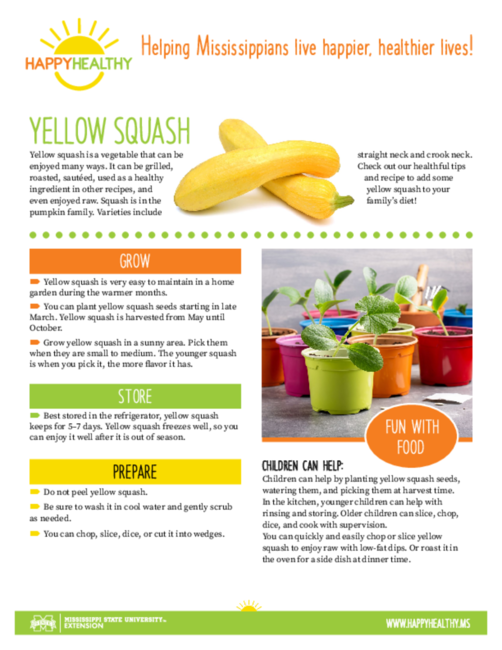 How to Store Yellow Squash in the Refrigerator