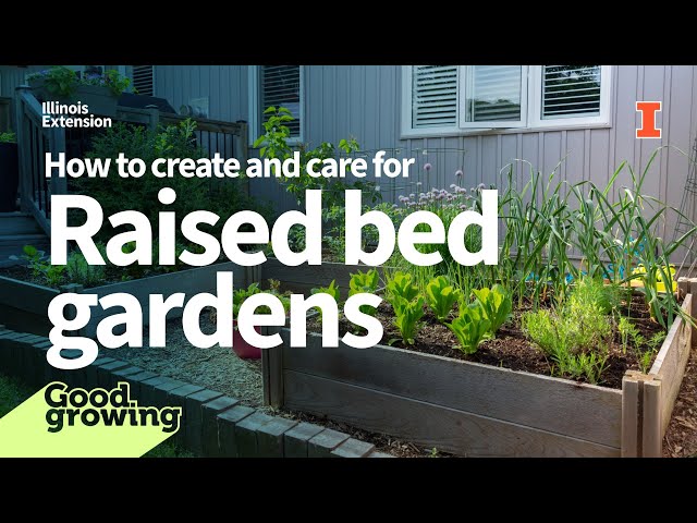 How to Till a Raised Garden Bed