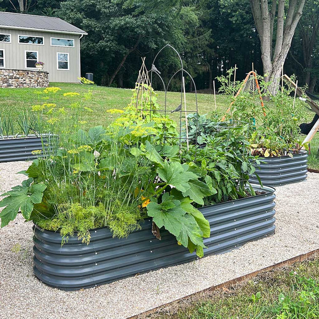 How to Trellis Cucumbers in a Raised Garden Bed