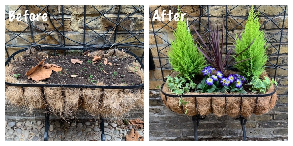 How to Use Coconut Liners for Planters