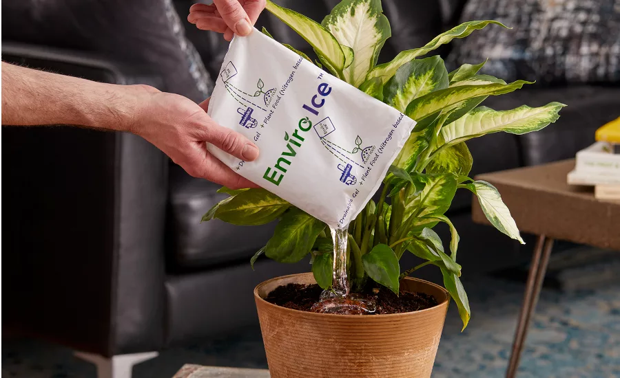 How to Use Enviro Ice As Plant Food