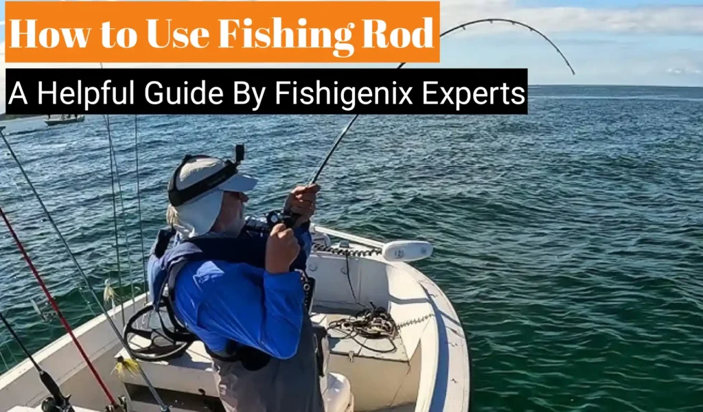 How to Use Fishing Rod