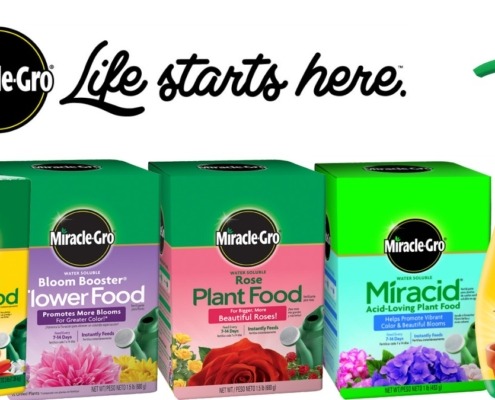 How to Use Miracle Gro Plant Food