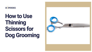 How to Use Thinning Shears on a Dog