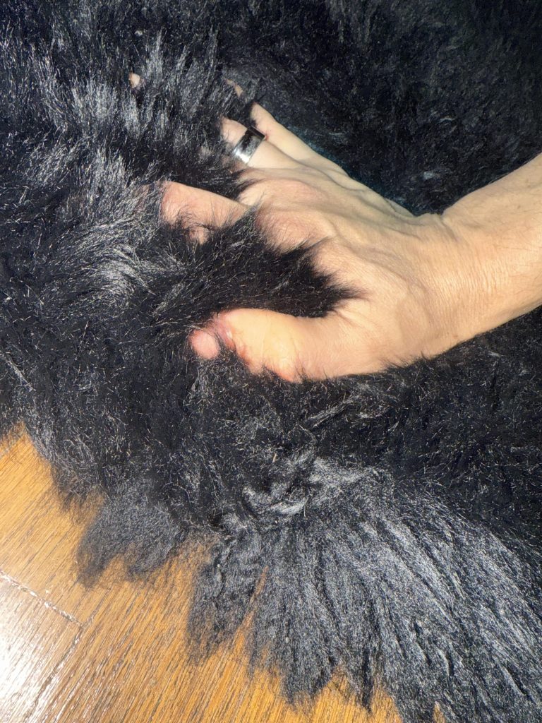 How to Vacuum a Shag Rug