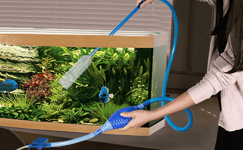 How to Vacuum Aquarium Sand
