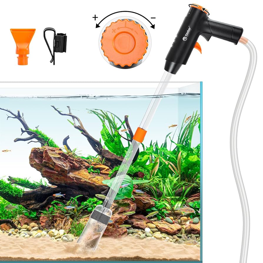 How to Vacuum Sand Aquarium