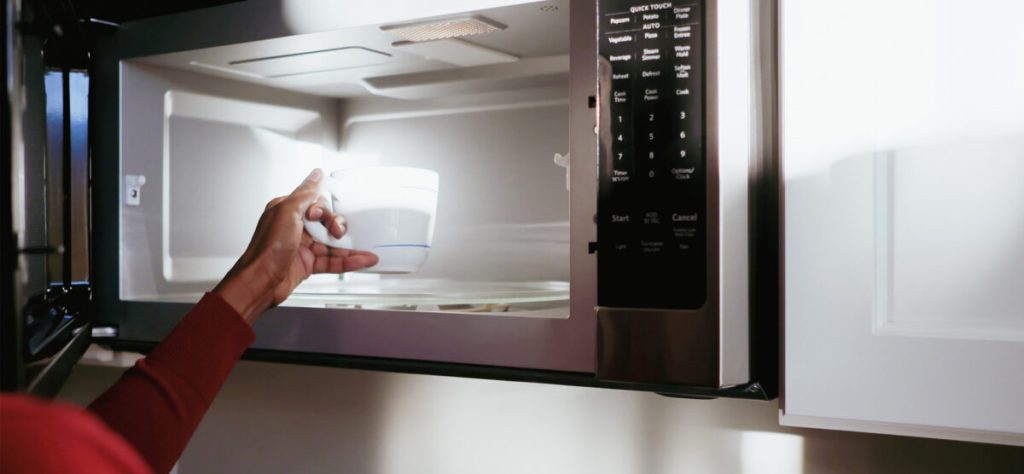 Is a Microwave Oven a Faraday Cage