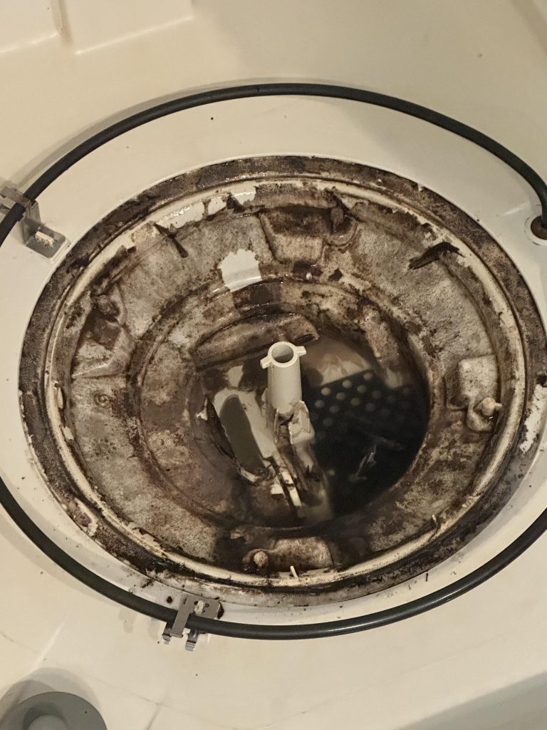 Is Black Mold in Dishwasher Dangerous