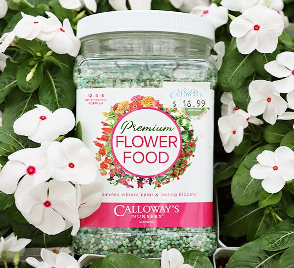 Is Flower Food Good for Plants