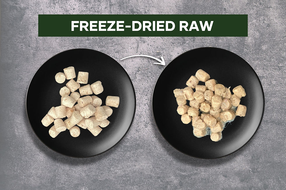 Is Freeze Dried Raw