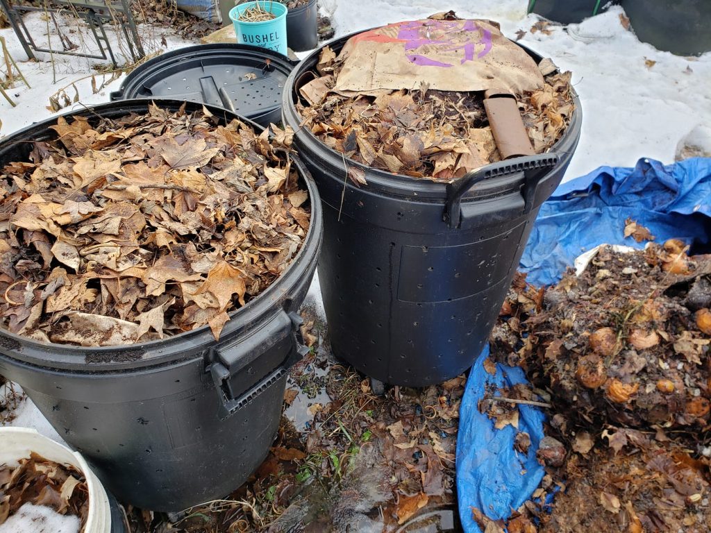 Should I Cover My Compost Bin