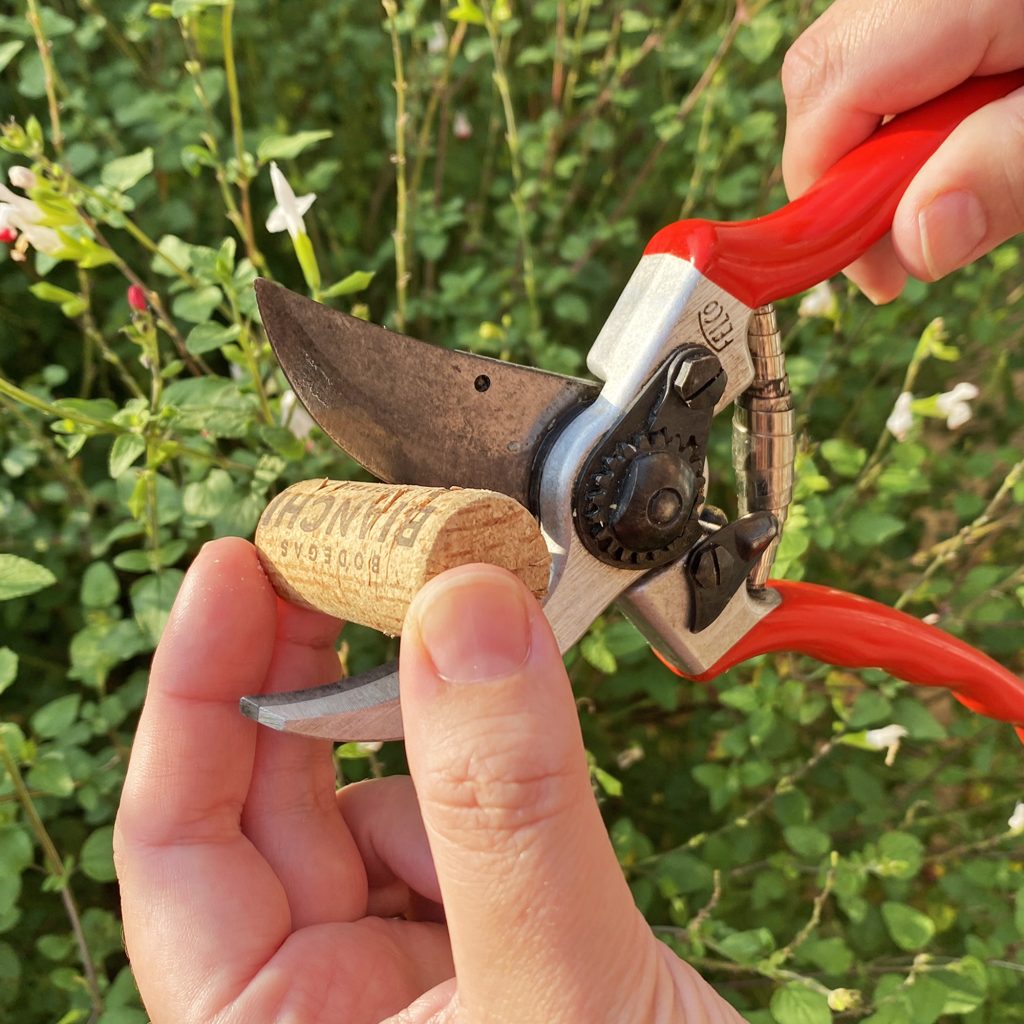 What are Shears Used for