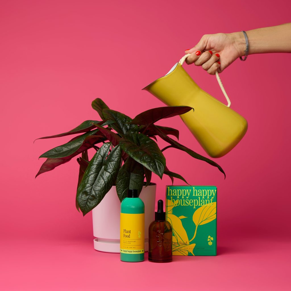 What Can Be Used As Plant Food