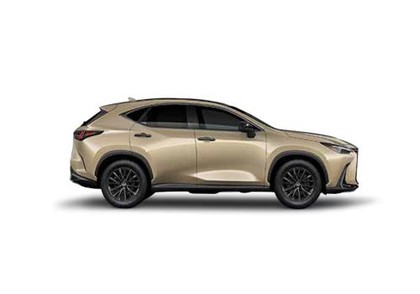 What Colors Does The Lexus Nx Come In