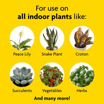 What Do Plants Use for Food