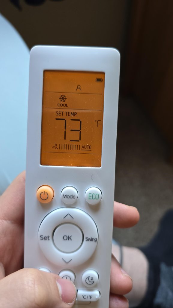 What Does Eco Mean on Air Conditioner