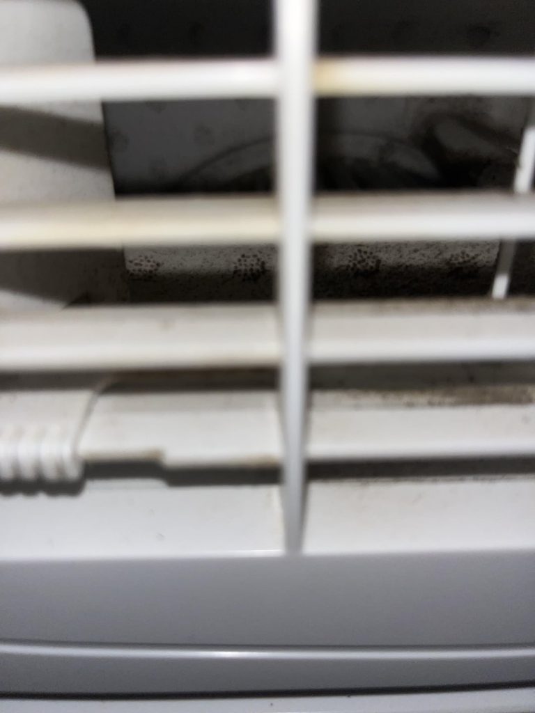 What Does Mold in Air Conditioner Look Like