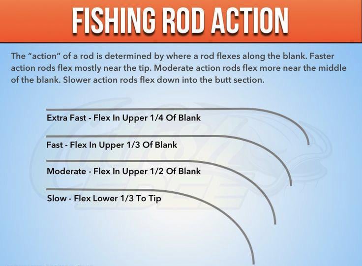 What Does the Action Mean on a Fishing Rod