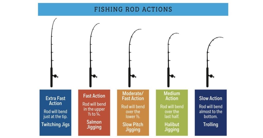 What is Fishing Rod Action