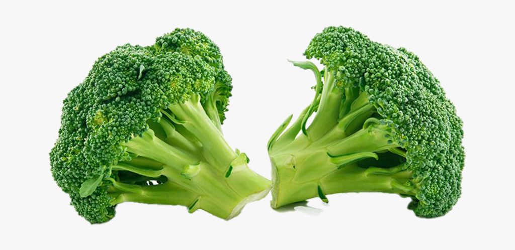 What is Food for a Plant
