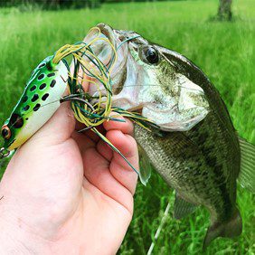 What is the Best Fishing Lure for Bass