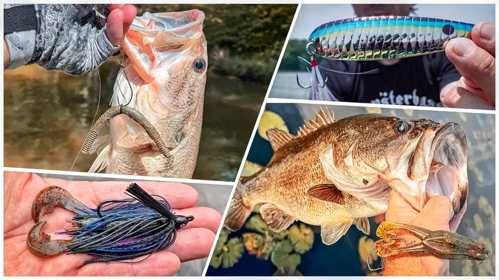 What is the Best Fishing Lure for Largemouth Bass