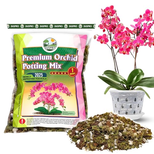What is the Best Potting Mix for Orchids