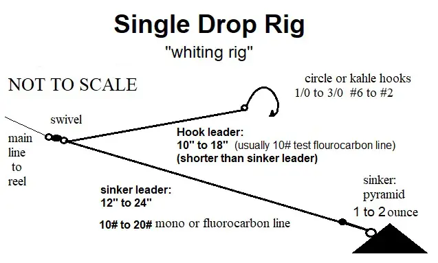 What Lb Line for Surf Fishing