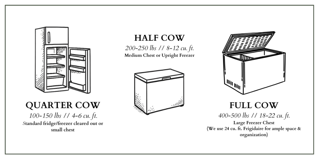 What Size Deep Freezer for Half a Cow