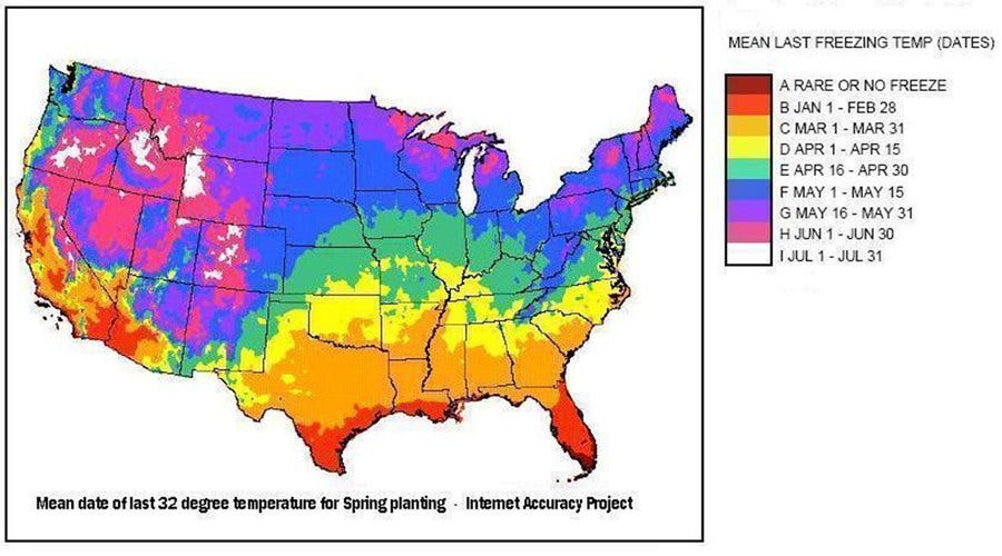 What Temp Does Kerosene Freeze