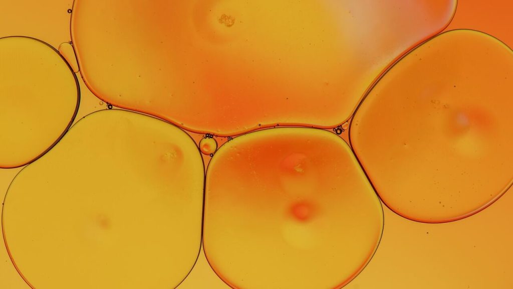 What Temp Does Olive Oil Freeze