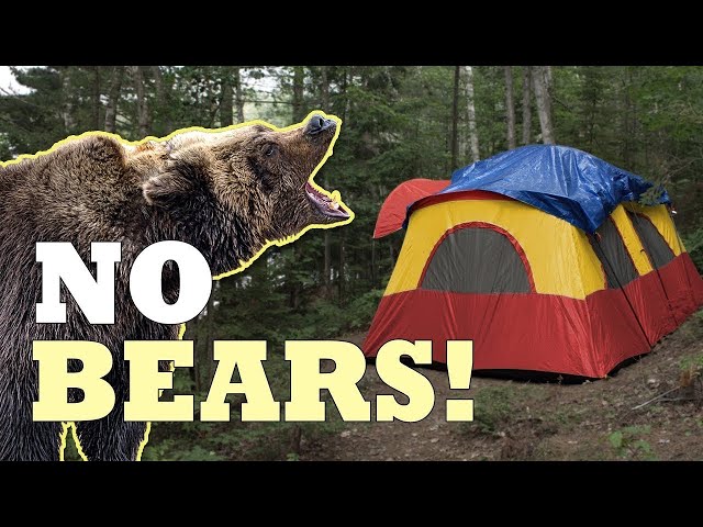What to Do If a Bear is Outside Your Tent