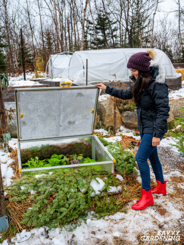 What to Do With Raised Garden Beds in Winter