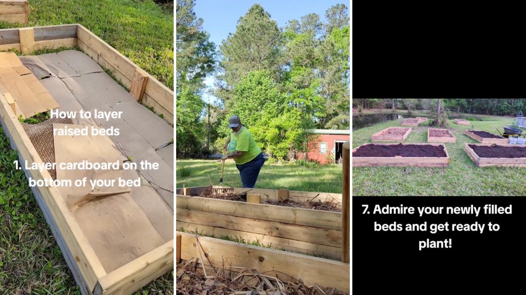 What to Layer in a Raised Garden Bed