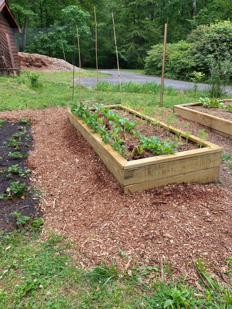 What to Use to Fill Raised Garden Beds