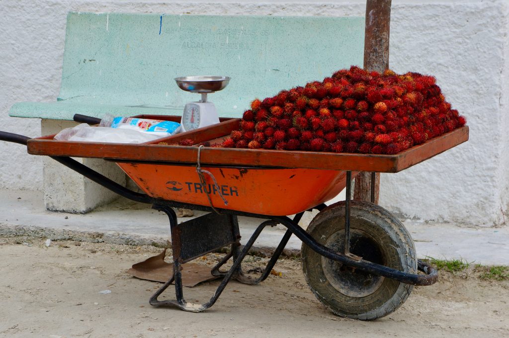 What Type of Simple Machine is a Wheelbarrow