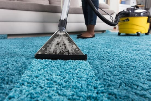 When Can I Vacuum After Bed Bug Treatment