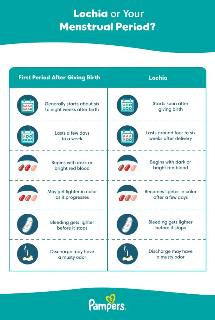 When Can You Use a Tampon Postpartum