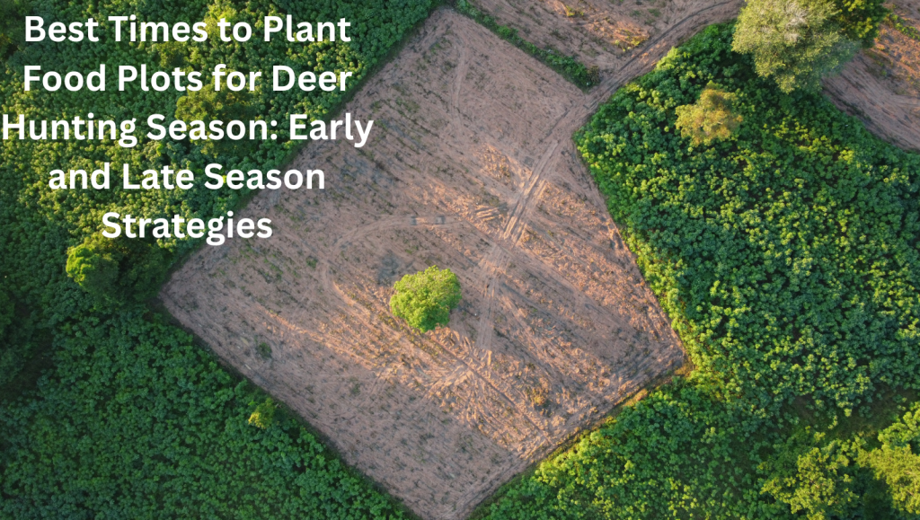 When to Plant Deer Food Plots