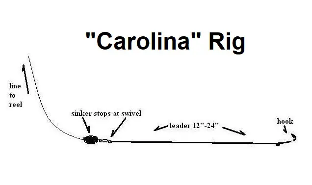 Where Do You Put the Sinker on a Fishing Line